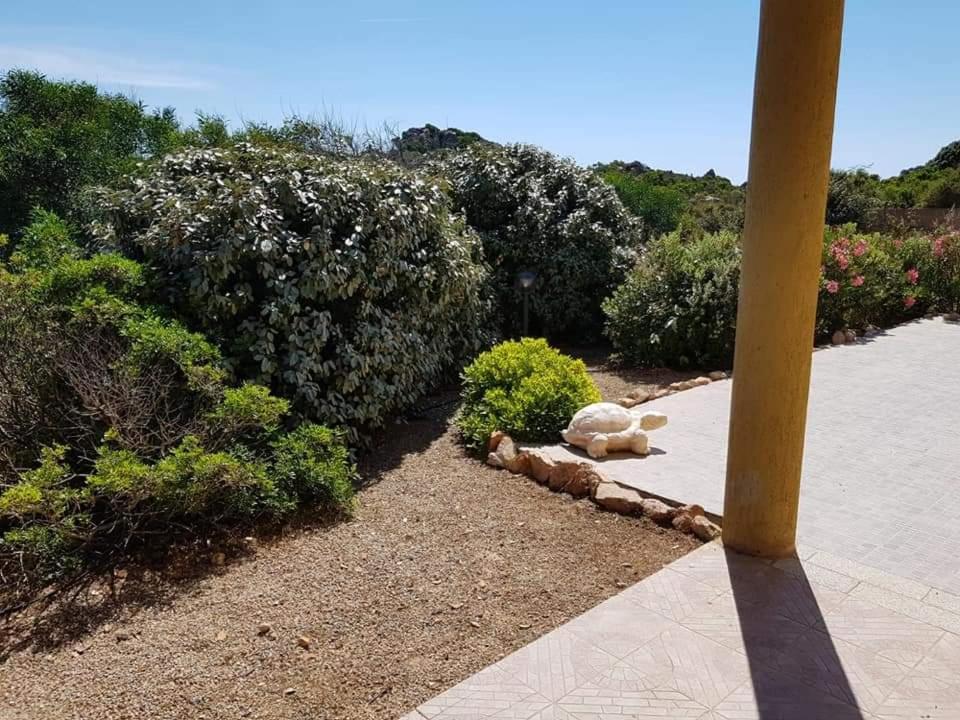Casa Vacanze Villa Sandrina Costa Paradiso Exterior photo